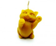 gattino
