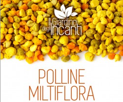 polline biologico