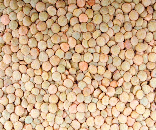 Lenticchie biologiche